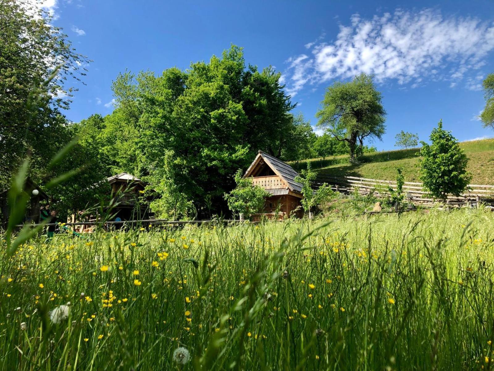 Glamping Savinja Hotel Ljubno Buitenkant foto