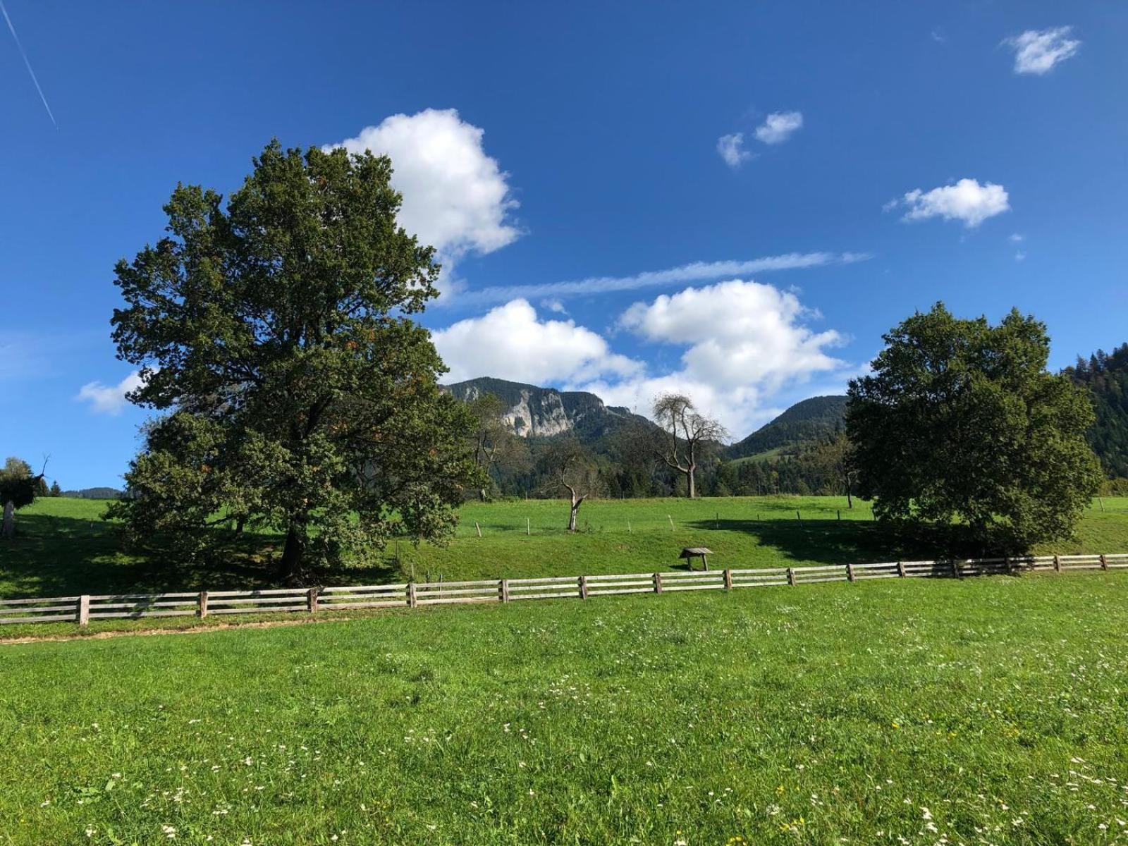 Glamping Savinja Hotel Ljubno Buitenkant foto