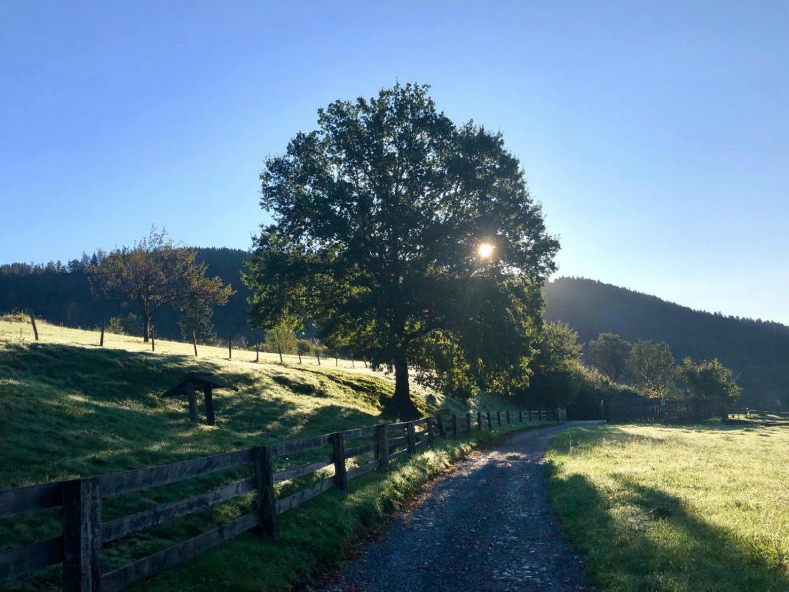 Glamping Savinja Hotel Ljubno Buitenkant foto