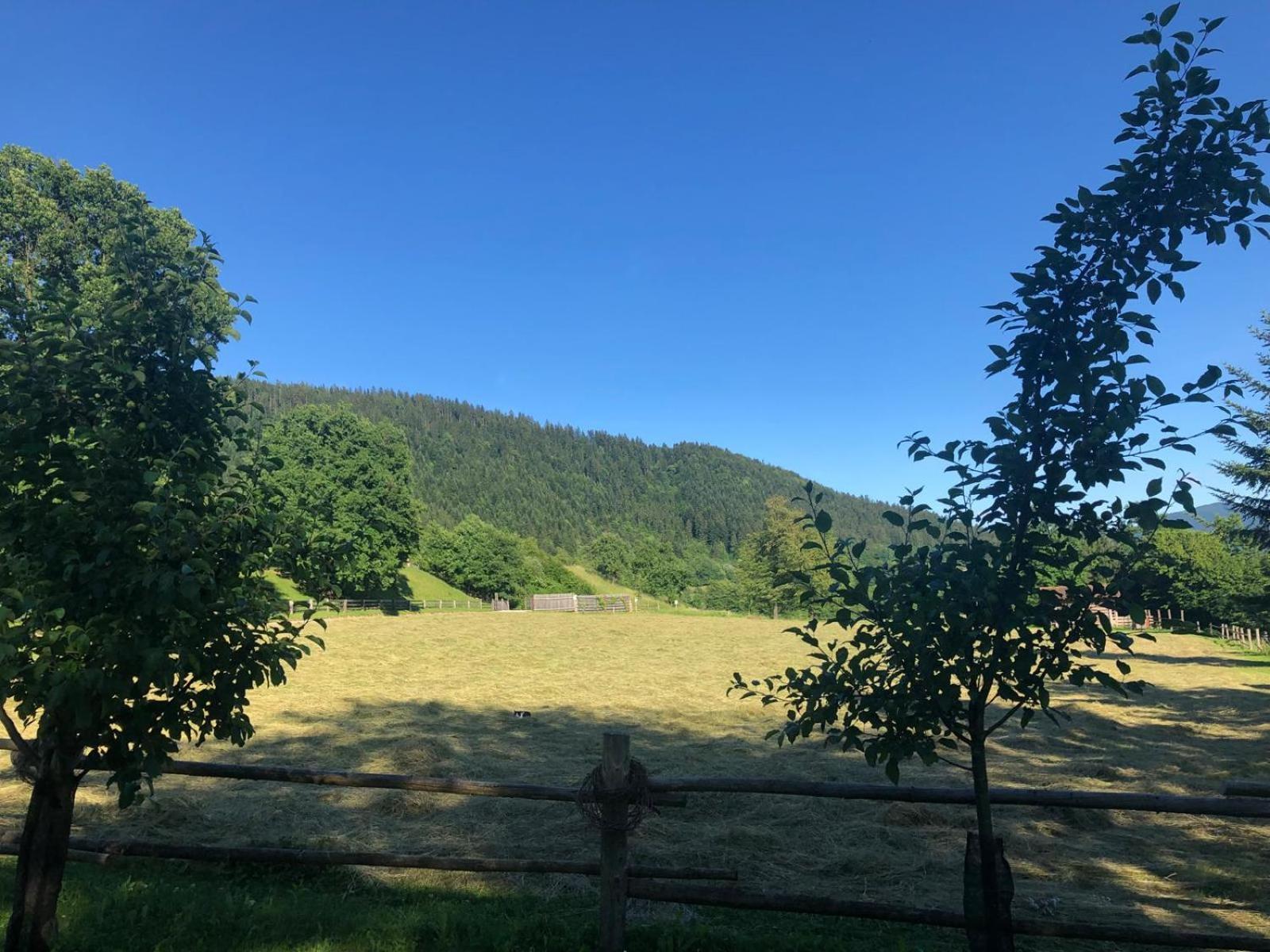 Glamping Savinja Hotel Ljubno Buitenkant foto
