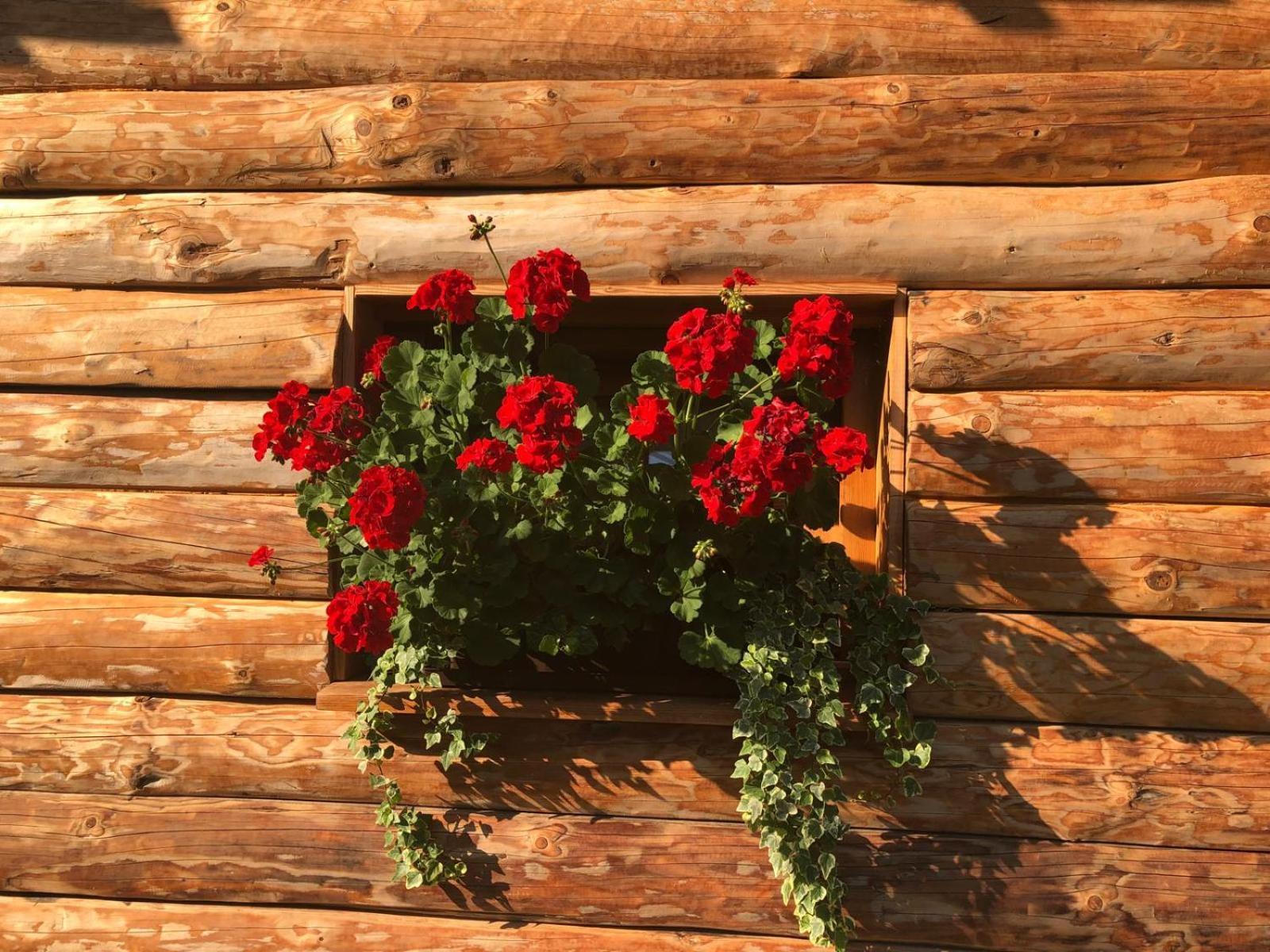 Glamping Savinja Hotel Ljubno Buitenkant foto