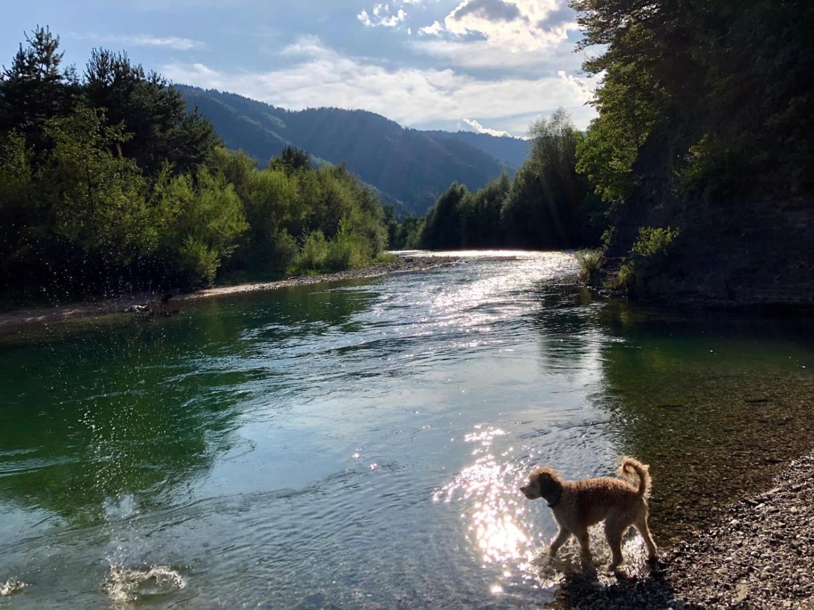 Glamping Savinja Hotel Ljubno Buitenkant foto