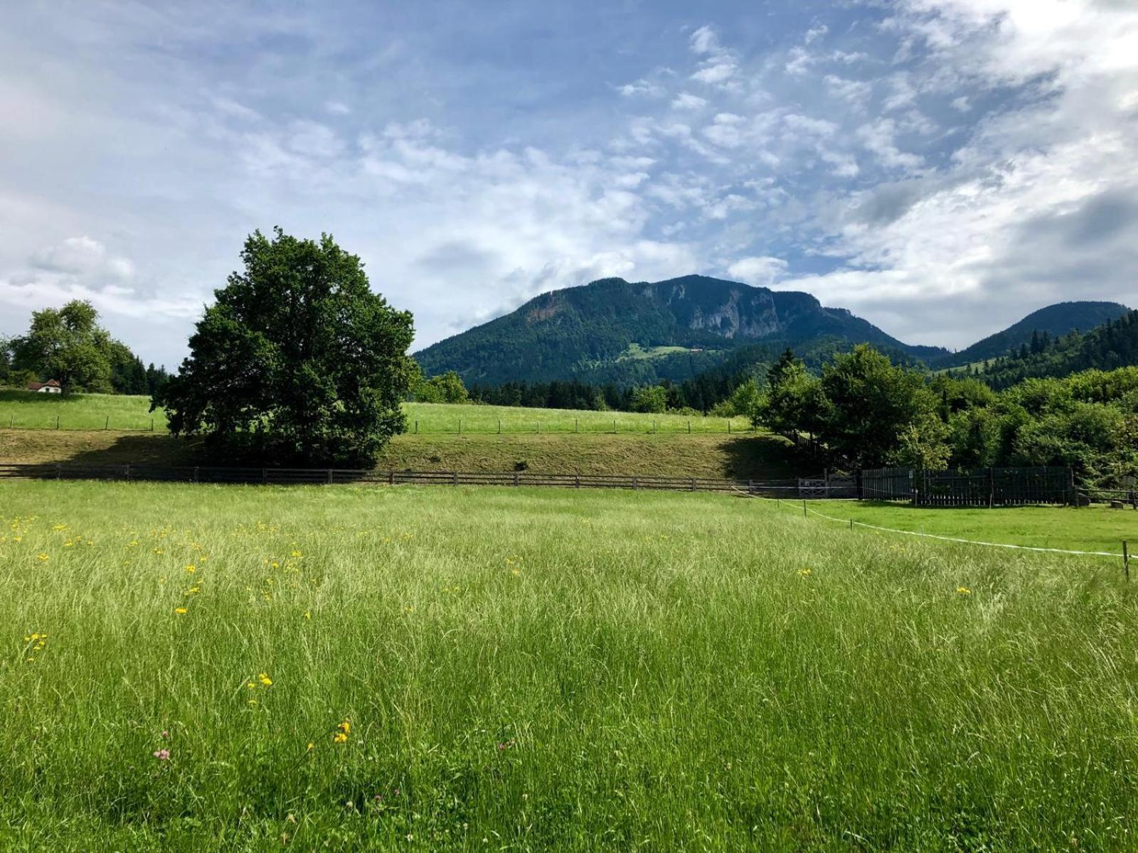 Glamping Savinja Hotel Ljubno Buitenkant foto